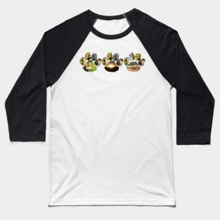 African Wildlife Lion pawprint Trio Collage Baseball T-Shirt